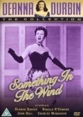 Something in the Wind film from Irving Pichel filmography.