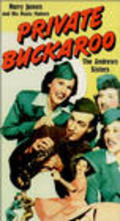 Private Buckaroo - movie with Shemp Howard.