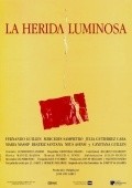 La herida luminosa is the best movie in Julia Gutierrez Caba filmography.