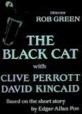 Film The Black Cat.