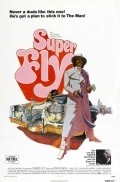 Super Fly film from Gordon Parks Jr. filmography.