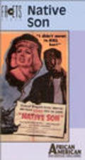 Native Son is the best movie in Willa Pearl Curtis filmography.