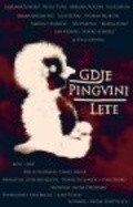 Gdje pingvini lete - movie with Ivica Vidovic.