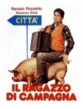 Il ragazzo di campagna is the best movie in Renato Pozzetto filmography.