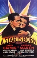 A Star Is Born film from William A. Wellman filmography.