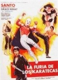 La furia de los karatecas - movie with Rene Cardona.