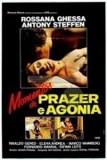 Momentos de Prazer e Agonia film from Adnor Pitanga filmography.