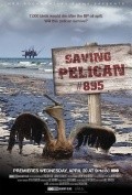 Saving Pelican 895 film from Iren Teylor Brodski filmography.