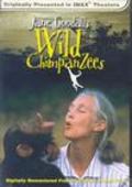 Film Jane Goodall's Wild Chimpanzees.