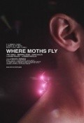 Film Where Moths Fly.