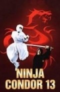 Ninjas, Condors 13 - movie with Alexander Lou.