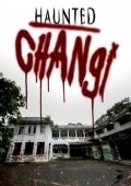 Haunted Changi film from Endryu Lau filmography.