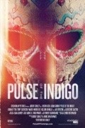 Pulse of the Indigo is the best movie in Adi Spektor filmography.