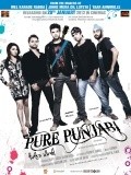 Pure Punjabi is the best movie in Karan Kundra filmography.