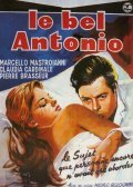 Il bell'Antonio film from Mauro Bolognini filmography.