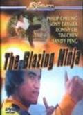 The Blazing Ninja is the best movie in Tim Chen filmography.