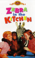 Zebra in the Kitchen - movie with Tristram Coffin.