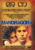 Mandragora film from Wiktor Grodecki filmography.