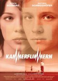 Kammerflimmern film from Hendrik Holzemann filmography.