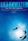 Sharkwater film from Rob Stewart filmography.