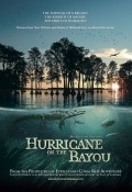 Hurricane on the Bayou film from Greg MacGillivray filmography.