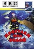 Walking Underwater is the best movie in Michael deGruy filmography.