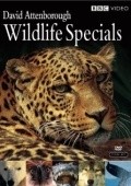 Wildlife Specials film from Mike Beynon filmography.