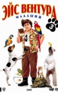 Ace Ventura: Pet Detective Jr. film from David M. Evans filmography.