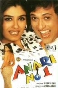 Anari No. 1 - movie with Raveena Tandon.