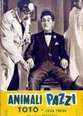 Animali pazzi film from Carlo Ludovico Bragaglia filmography.