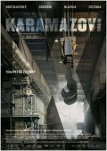Karamazovi film from Petr Zelenka filmography.