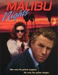 Malibu Nights - movie with LoriDawn Messuri.