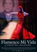 Film Flamenco mi vida - Knives of the wind.