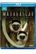 Madagascar film from Selli Tomson filmography.