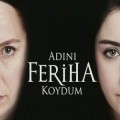 TV series Adini feriha koydum  (serial 2011 - ...).