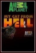 My Cat from Hell film from Bethany «Rose» Hill filmography.