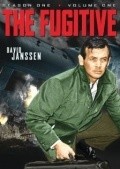 The Fugitive is the best movie in David Janssen filmography.