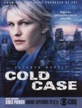 Cold Case film from Kevin Bray filmography.