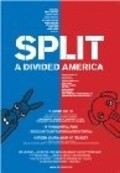 Film Split: A Divided America.