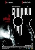 Camaron film from Jaime Chavarri filmography.