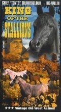 Film King of the Stallions.