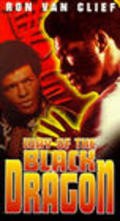 Way of the Black Dragon - movie with Hoi Mang.