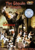 Shaolin Si is the best movie in Lan Ding filmography.