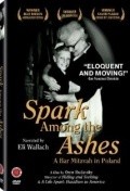 Spark Among the Ashes: A Bar Mitzvah in Poland film from Oren Rudavsky filmography.