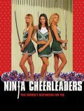 Ninja Cheerleaders film from David Presley filmography.