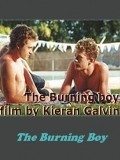 The Burning Boy film from Kieran Galvin filmography.