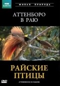 Attenborough in Paradise - movie with David Attenborough.
