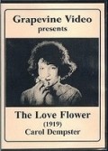 The Love Flower film from D.W. Griffith filmography.