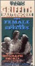 The Female of the Species - movie with Mary Pickford.