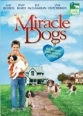 Miracle Dogs - movie with Josh Hutcherson.